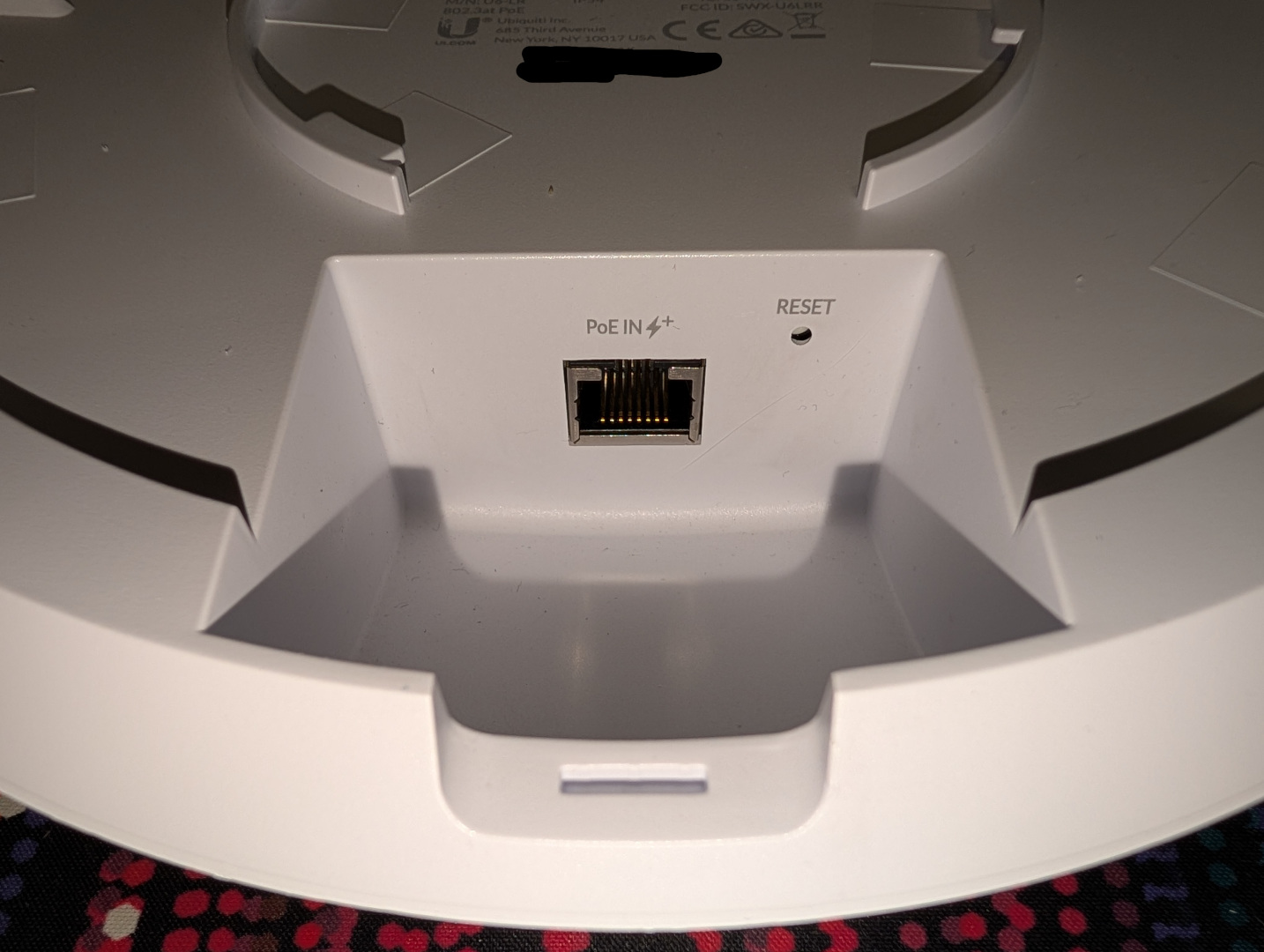 PXL_20250718_222753465.jpg